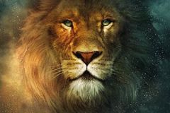 Aslan and the path of faithful pain