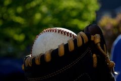 Knights of Columbus online exhibit explores baseball's Catholic history