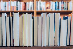 SC Gov Orders Investigation of All School Libraries After 'Gender Queer' Book Found with 'Pornographic' Images