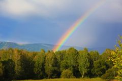 FIRST-PERSON: After the flood, after COVID | Baptist Press