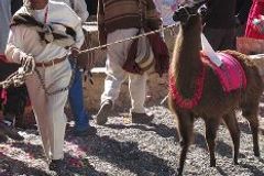 New Law in Bolivia Aims to Control Churches, Impose Beliefs, Protestant Leaders Say - Morningstar News