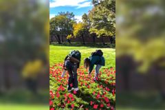 'I'll…Keep Killing Babies': Women Caught on Camera Purportedly Defacing Pro-Life Display While Hurling Expletives