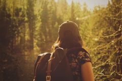 How Becoming a ‘Tree-Hugger’ Can Change Your Faith