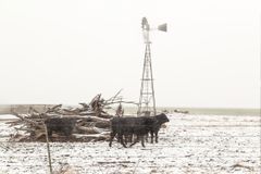 Report: The Texas Winter Storm Death Toll Was Likely Much Higher Than State’s Official Count