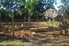 Muslims in Zanzibar Take Worship Hall, Bleed Another Church with Court Costs - Morningstar News