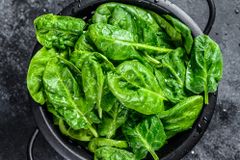 Scientists Have Taught Spinach How to Send Emails and It’s For a Good Cause Actually