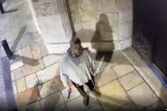 Armenian Orthodox: Spitting incident shows racism, hate | Crux