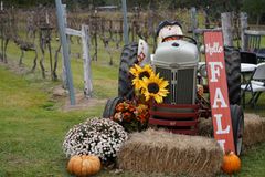 Harvest Mass is a time to thank God, ask for mercy, says Texas bishop