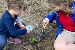 Parish gardens’ green thumbs, record-breaking harvests feed the hungry