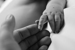 European Court of Human Rights declines to hear cases of pro-life midwives