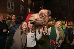 Live nativity scene (camel included) gives Catholic University students a welcome study break