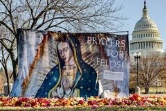 Pro-life Catholics gather 7,700 roses for Pelosi on Our Lady of Guadalupe Feast