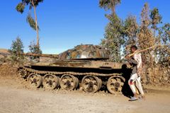 Human rights groups raise alarm over new atrocities in Western Tigray