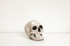 Memento mori in a time of pandemic
