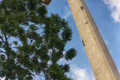 'We celebrate every Christmas like it is our last,' says Pakistani Christian