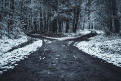 Four Decisions That Will Change Your Life - RELEVANT