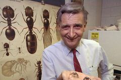 Sociobiologist E.O. Wilson dies
