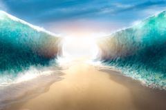 Bible Study: Worship our God of grace | Baptist Press