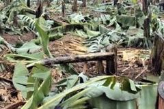 Newly Christian Families Driven from Homes in Uganda - Morningstar News