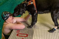 ‘Ruff’ work: Dogs provide needed support in Baltimore Archdiocese