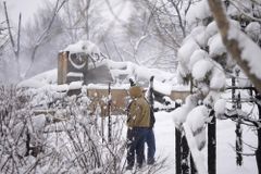 3 People Still Missing in Colorado Wildfires, Community Unites to Help those in Need