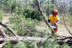 Disaster Relief Appreciation Day set for Nov. 10 | Baptist Press