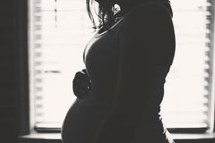 Michigan prolife group ends petition effort to ban D&E abortions