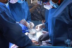 Violating God's Design? Baptist Leader Warns of 'Ominous' Biblical and Ethical Concerns Over Pig Heart Transplant