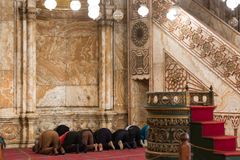 North African convert used as ‘mouthpiece of God’ | Baptist Press