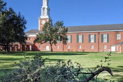 Newsom named Caskey Center director at NOBTS | Baptist Press