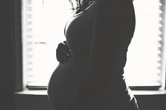 Federal judges block Arkansas abortion laws, pending further decisions
