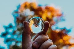 This Is the Only Planet We've Got - RELEVANT