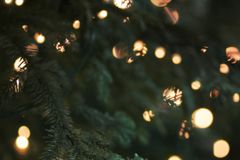 Did Christmas Really Start as a Pagan Holiday? - RELEVANT