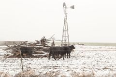 No, Bill Gates and Joe Biden Didn't Cause the Texas Winter Storms - RELEVANT