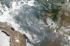 The Amazon Rainforest Is Burning at a Record Rate - RELEVANT