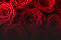 COMMENTARY: Five Lessons from 48 Valentines Together