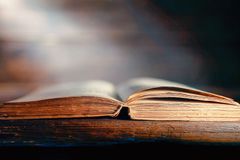 Why Did God Make Eve From Adam's Rib? John Piper Explains Intriguing Genesis Question