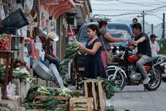 Sisters of Mercy celebrate release of clean-water activists in Honduras