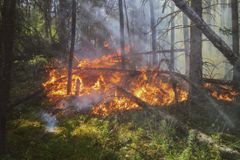 How Can We Make More Christians Care About the Environment? - RELEVANT