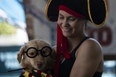 In Rio de Janeiro, dog owners defy ban on Carnival parties