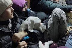 Still helping Christians escape the Taliban, Jason Jones' nonprofit now also working in Ukraine