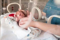 73% of US counties had more deaths than births in 2021: Census report