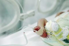 Don’t you dare look away: Confronting the horrors of abortion head-on