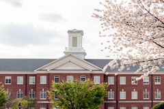 TRUSTEES: SEBTS adopted budget, celebrated Great Commission | Baptist Press