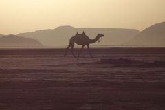 Unsettling Advent, Day 27