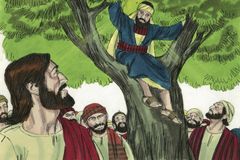 A Zacchaeus Moment for Southwest Baptist