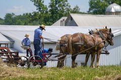 Amish Put Faith in God’s Will & Herd Immunity Over Vaccine