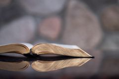 Scriptural Narrative and the Future of the Church
