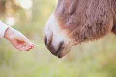 When a step of faith needs courage