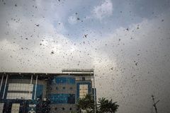 India battles triple disaster